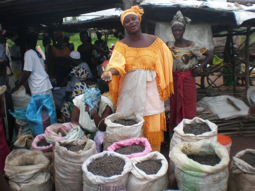 Un groupement de femmes, spécialisé dans la transformation de produits agricoles en Afrique de l’Ouest